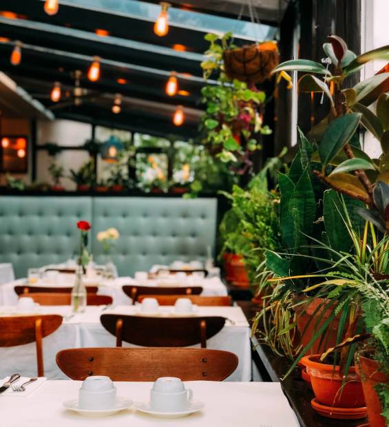 bar design and layout